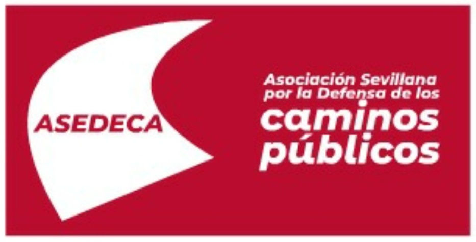 ASEDECA LOGO NUEVO